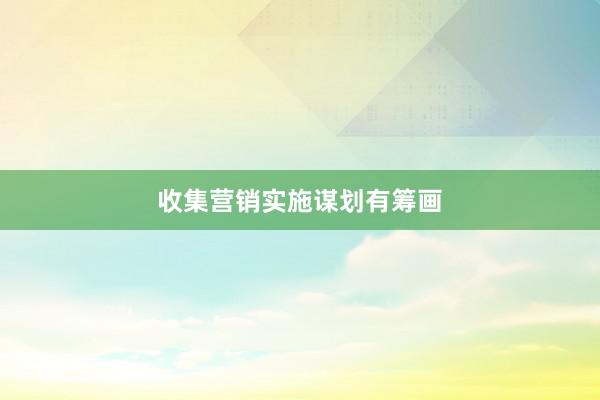 收集营销实施谋划有筹画