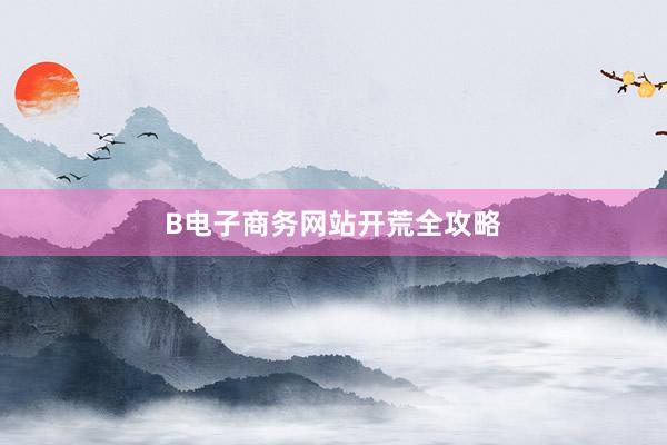 B电子商务网站开荒全攻略