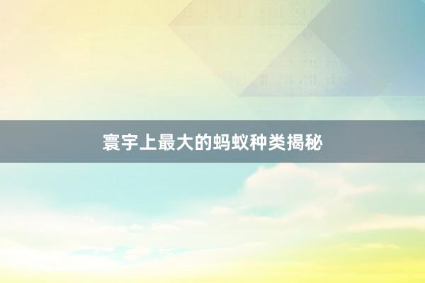 寰宇上最大的蚂蚁种类揭秘