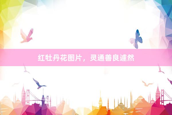 红牡丹花图片，灵通善良遽然