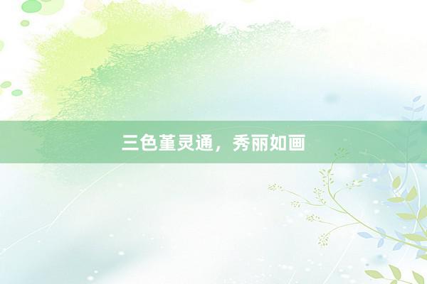 三色堇灵通，秀丽如画